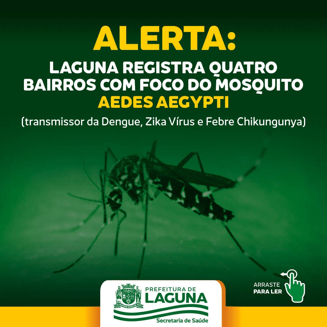 Prefeitura Municipal de Itapemirim - ?TODOS CONTRA O MOSQUITO DA