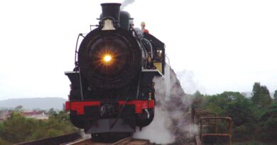 Maria Fumaça assim são chamadas as locomotivas a vapor e diesel na tração de vagão em madeira.
