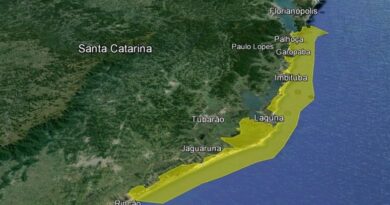 Nove municípios do litoral sul de Santa Catarina pertence à Área de Proteção Ambiental da Baleia Franca