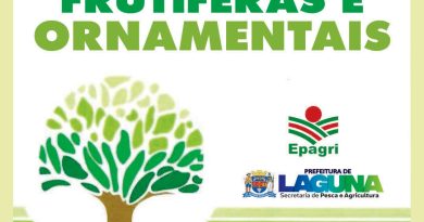 Laguna inicia campanha de árvores frutíferas e ornamentais