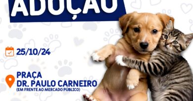 Bem-estar animal promove feira de adoção de animais nesta sexta-feira,25